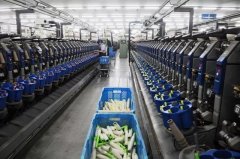 缅甸第一工业部宾普棉纺织厂