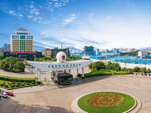 东莞玖龙纸业集团有限公司